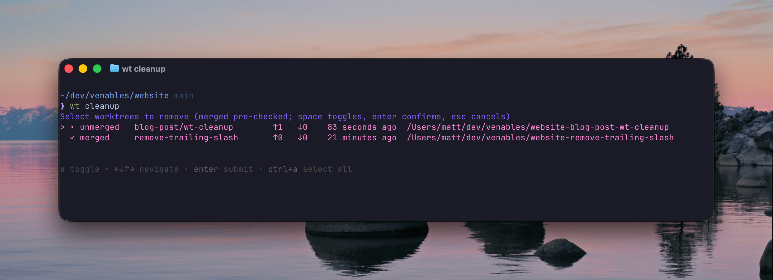 wt cleanup picker
